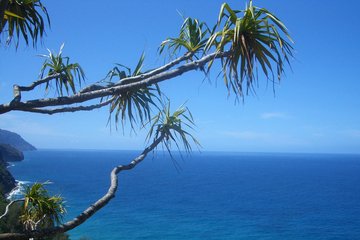 என்ன பொல்லாத கவிதை?