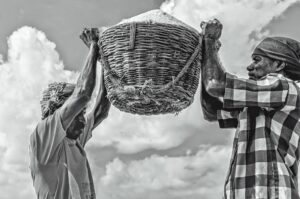 Photo-contest-279