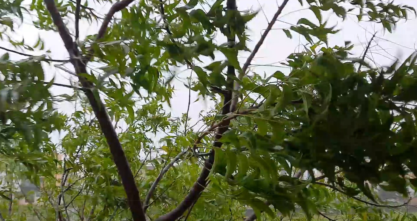 Cyclone Nivar furious 3