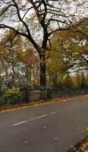 London road
