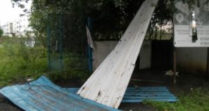 Nivar damages