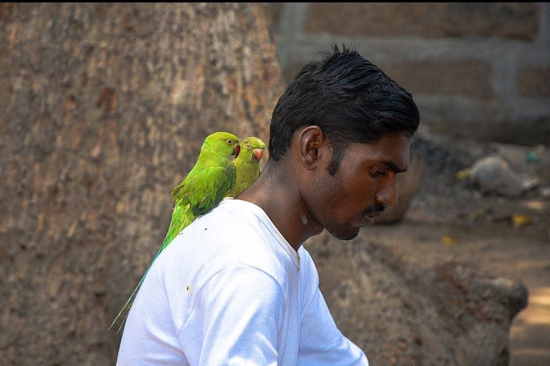Photo contest 293