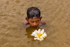 Photo contest 294