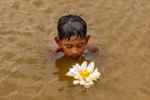 Photo-contest-294