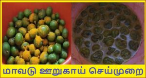 Maavadu banner