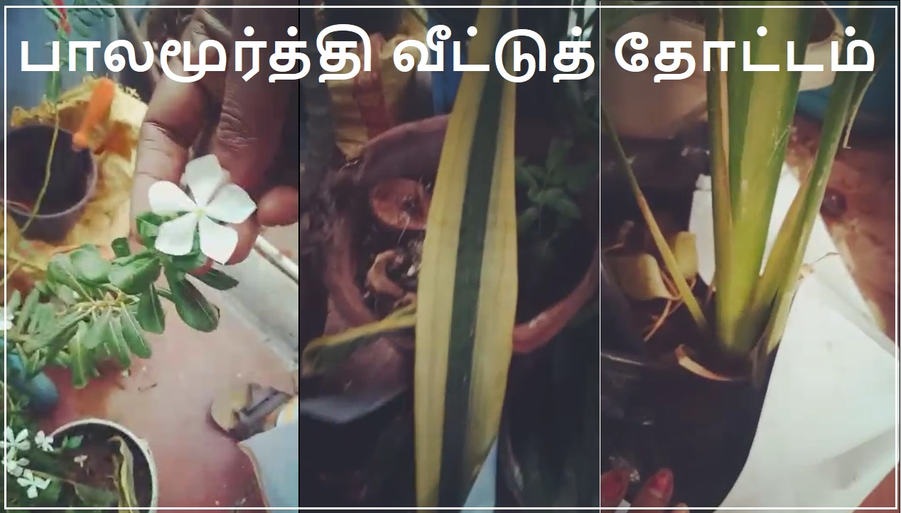 Balamoorthi 3 banner