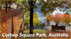 Curtain Square Park Banner