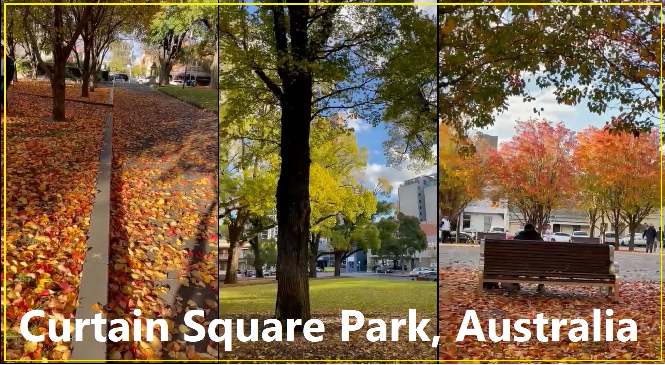 Curtain Square Park Banner