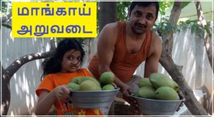 Mango Harvest 02062021 banner