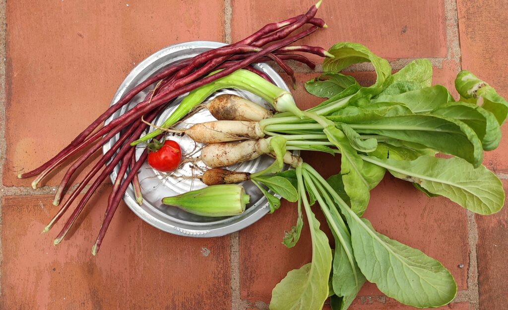Garden harvest 25072021_1