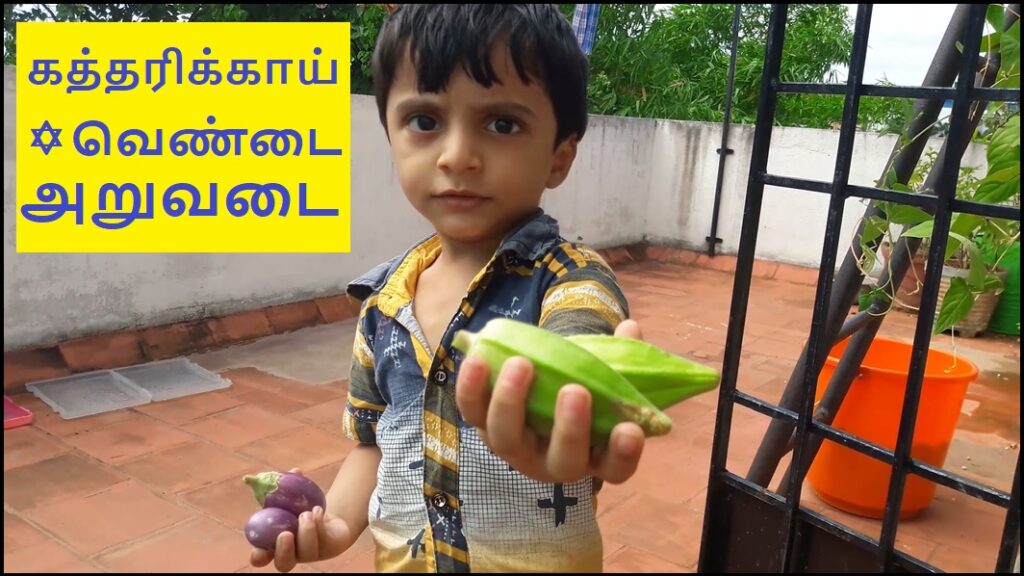 Aruvadai Hari 04082021