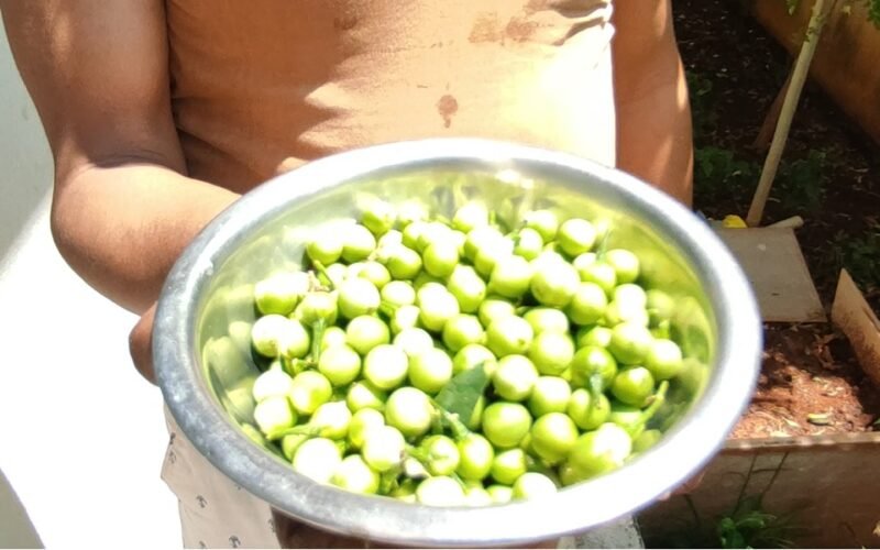 சிங்கப்பூரின் நீரடிச் சுரங்கம்