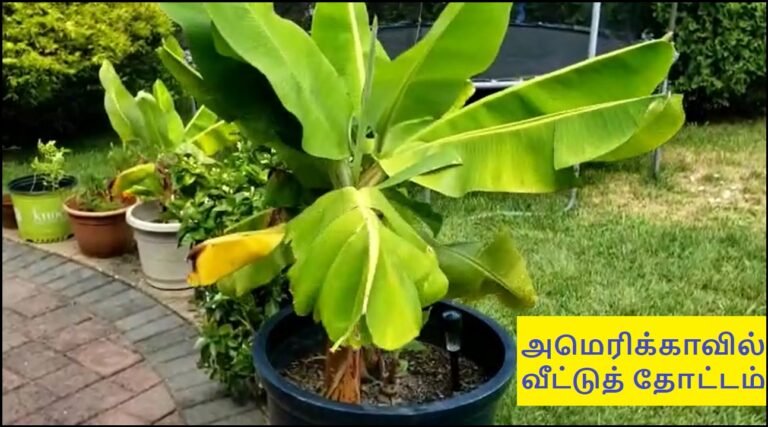 அழைப்பிதழ் – நல்லாசிரியர் சி. நல்லதம்பி அறக்கட்டளைச் சொற்பொழிவு