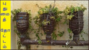 Bottle Garden