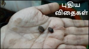ஓர் எளிய யோசனை – 10