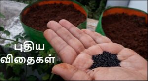 New seeds 03092021