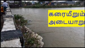 Adyar river status 29112021
