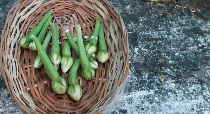 Mookkuthi Avarai Aruvadai