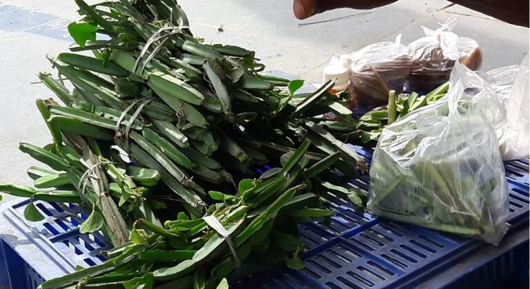 மூத்த குடிமக்களுக்கான தொடர் வருவாய்த் திட்டங்கள்