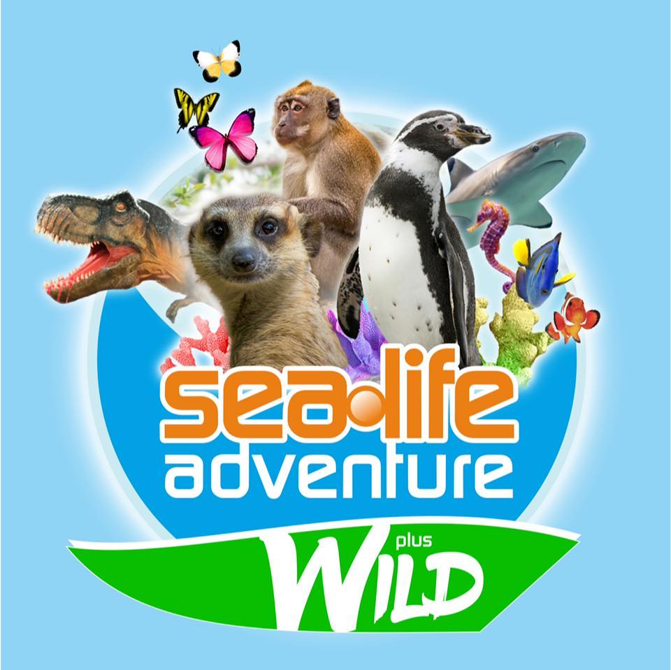 Sealife adventure