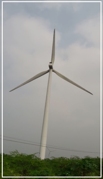 Windmill shorts