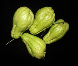 704px-Chayote_from_Kattappana,_Kerala