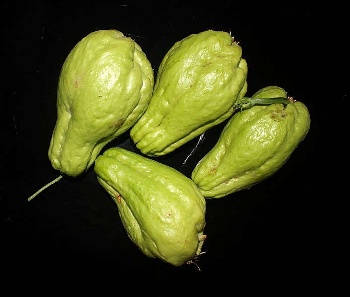 704px-Chayote_from_Kattappana,_Kerala