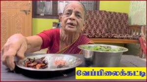 Veppilaikatti saroja banner