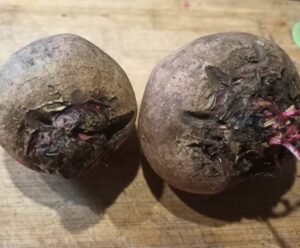 Beetroot