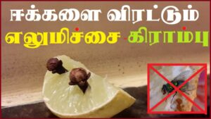 Lemon Krambu