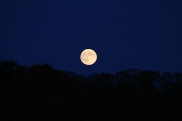 the-harvest-moon-1386190