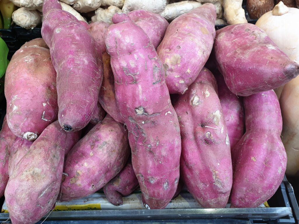 Solanales_-_Ipomoea_batatas_-_1