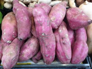 Solanales_-_Ipomoea_batatas_-_1