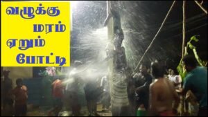 நாகேஸ்வரி அம்மன் தீமிதி உற்சவம்