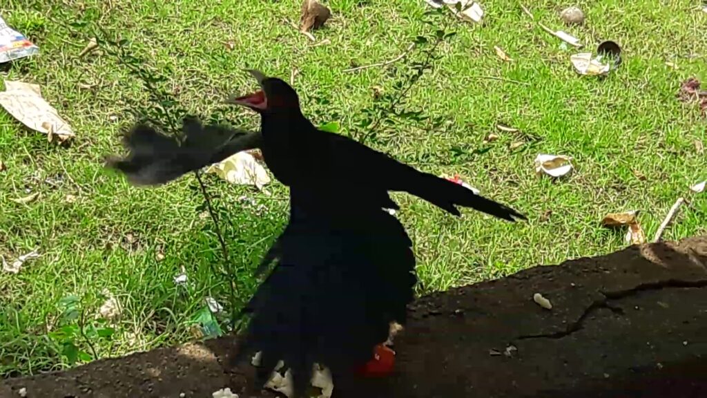 20221022_112019_Moment