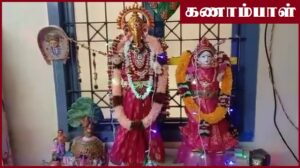 Aruna Sridhar Kolu