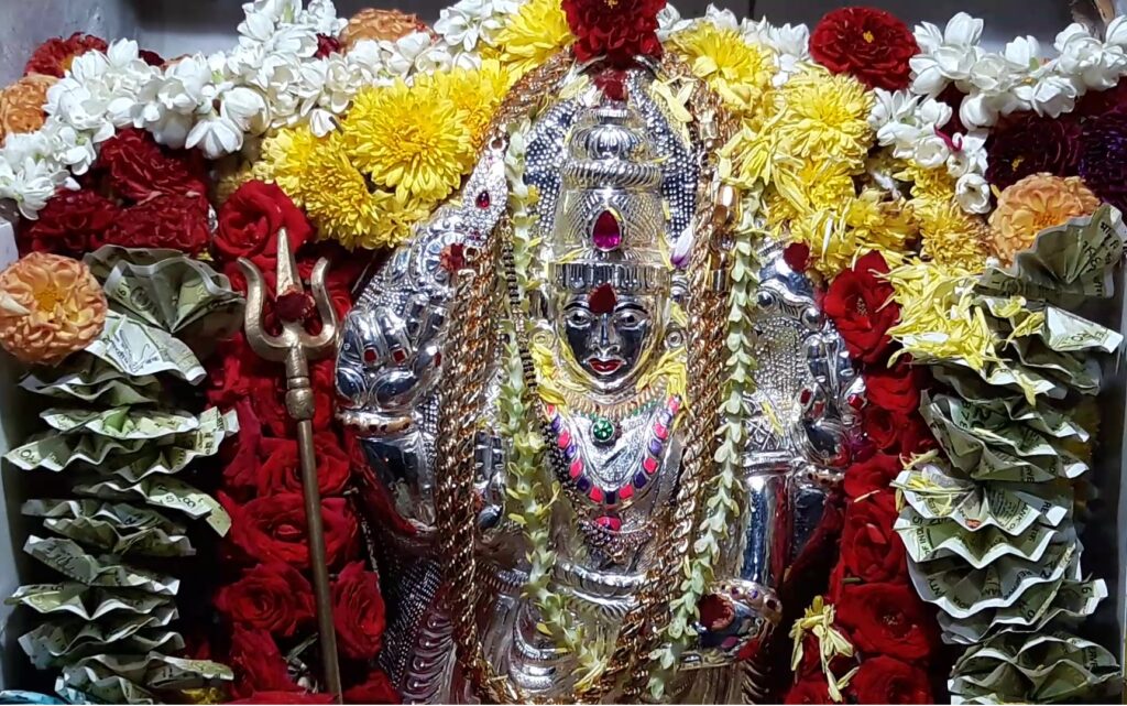 Vishnu Durga