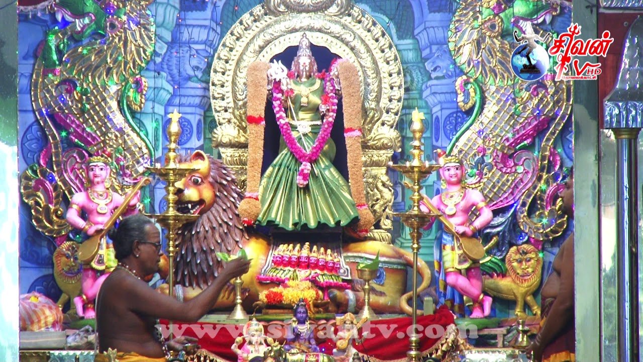 பண்பாட்டுப் பெட்டகம் நூல் வெளியீட்டு விழா