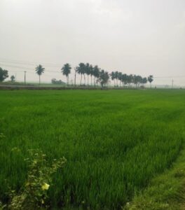 Alappakkam