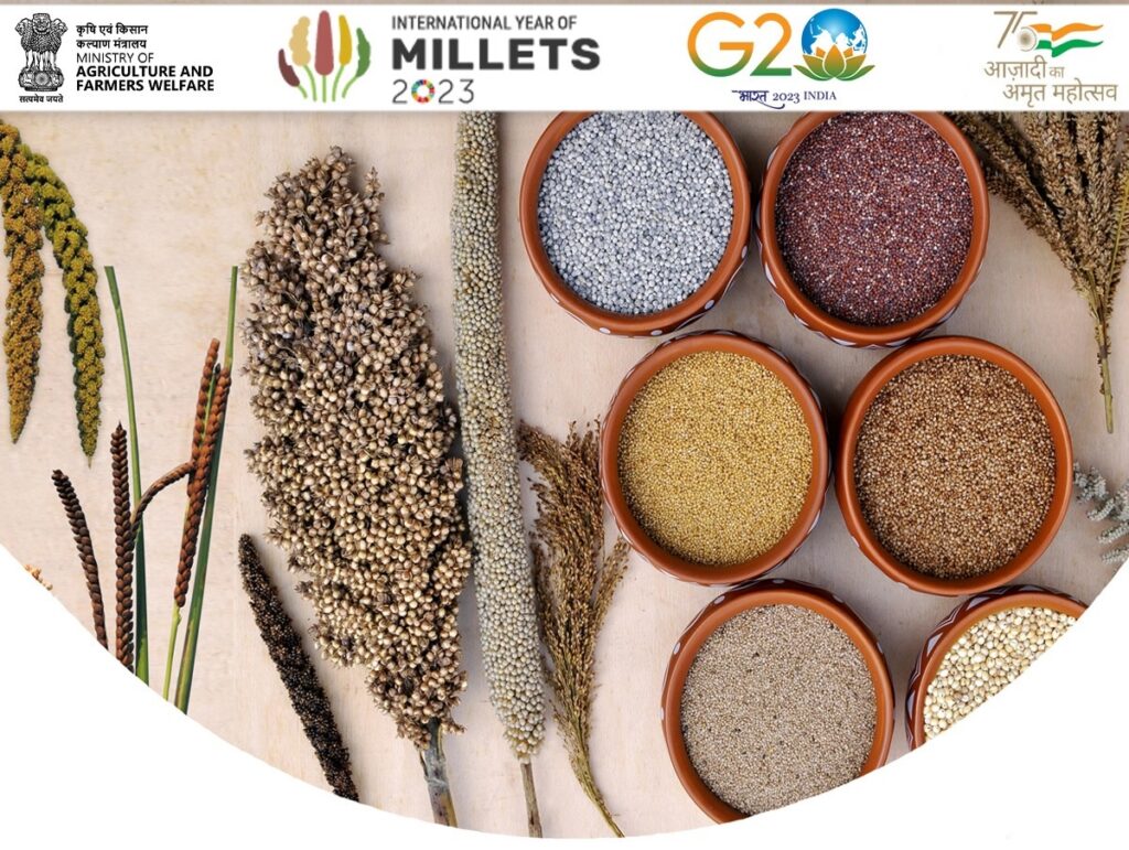 Millet year