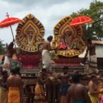 சிட்லப்பாக்கம் ஏரியில் நீந்தும் பாம்பு