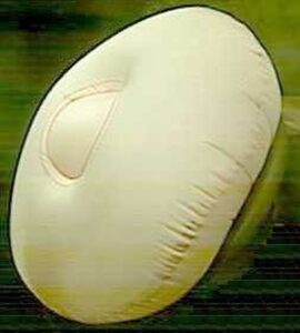 AIRBAG.jpg