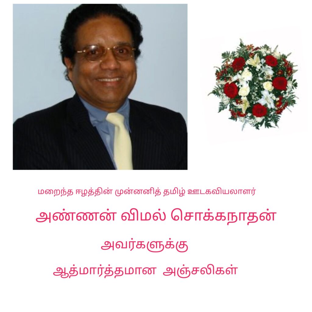 PhotoCollage_1692896707872