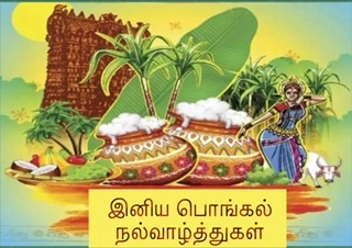 image0 (8)