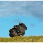 முகமும் முதுகும்