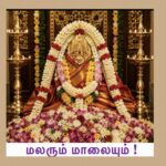 மலரும் மாலையும்!